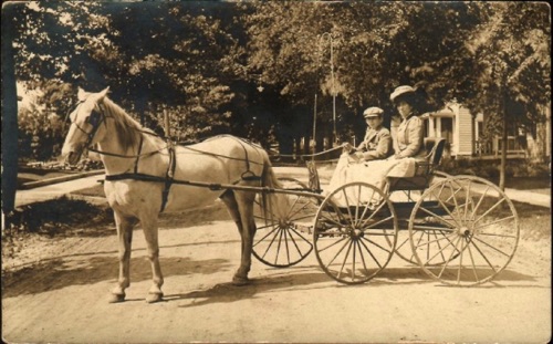 Lady & boy in Carriage. 1870?-1900? chs-001349
